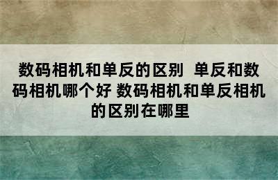 数码相机和单反的区别  单反和数码相机哪个好 数码相机和单反相机的区别在哪里